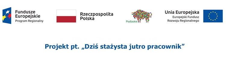 Baner projektu „Dziś stażysta jutro pracownik".