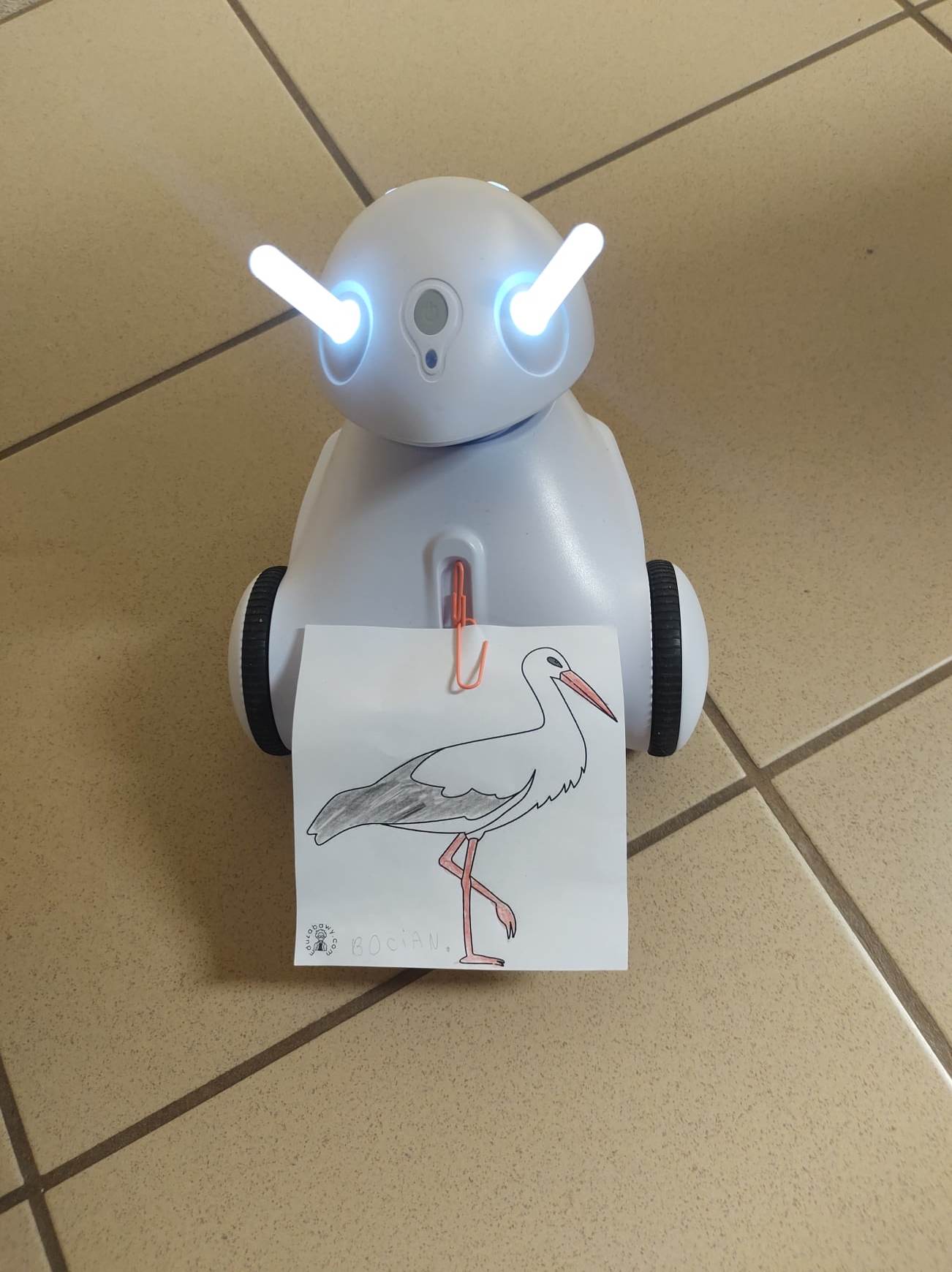 Robot Photon