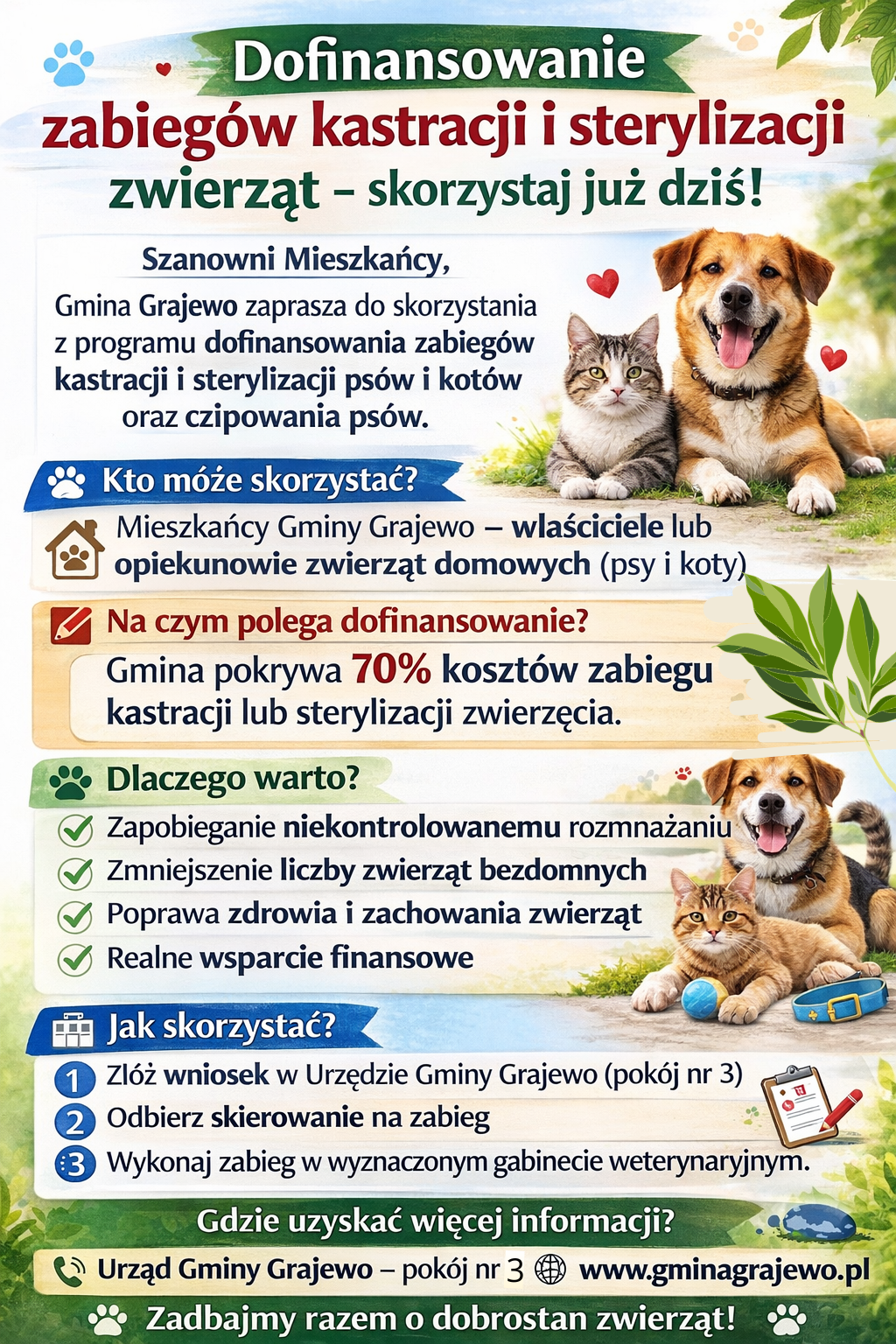 Zabiegi zwierząt