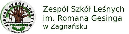 ZSL Zagnańsk