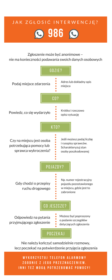 Infografika
