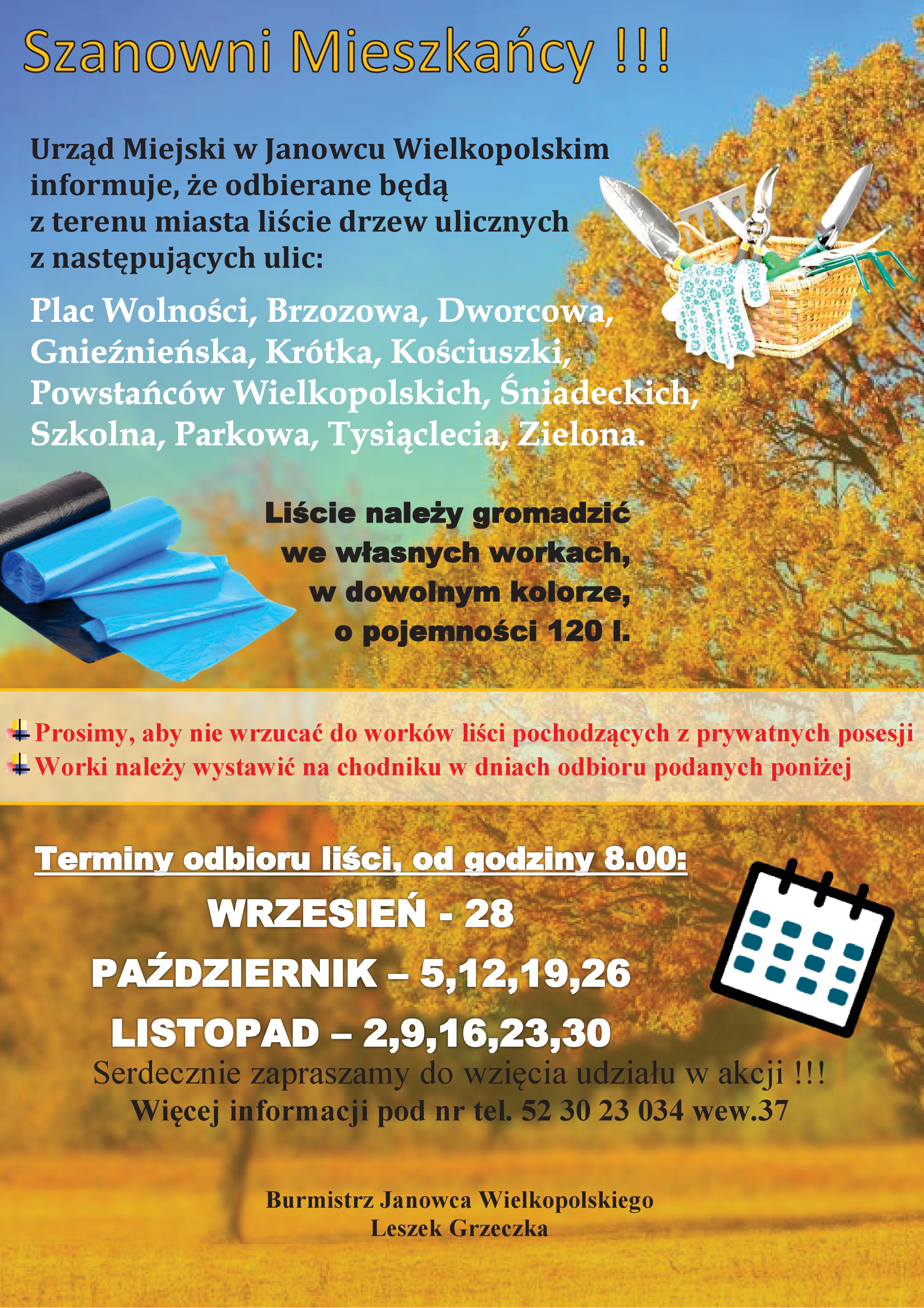 liście