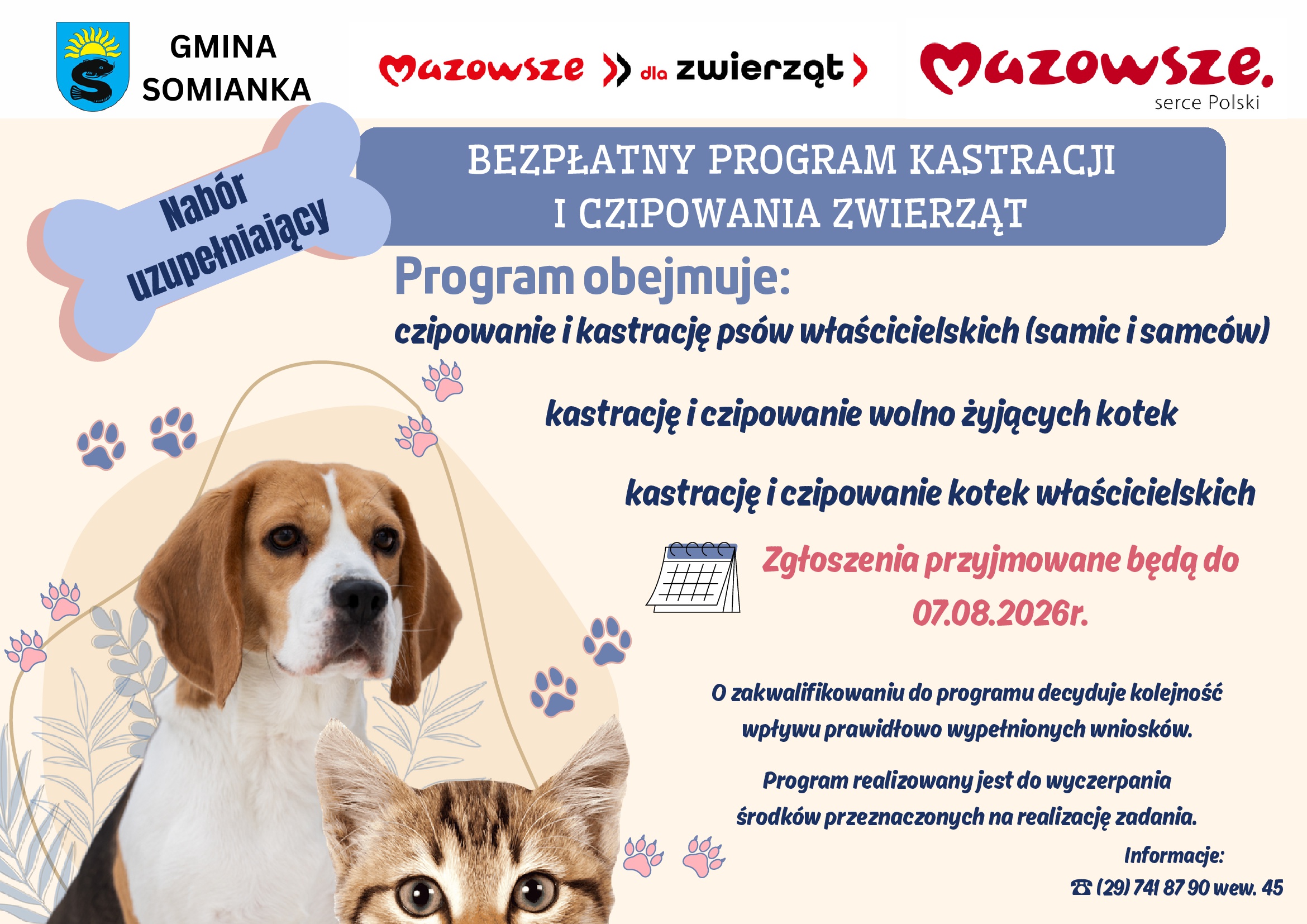 Plakat
