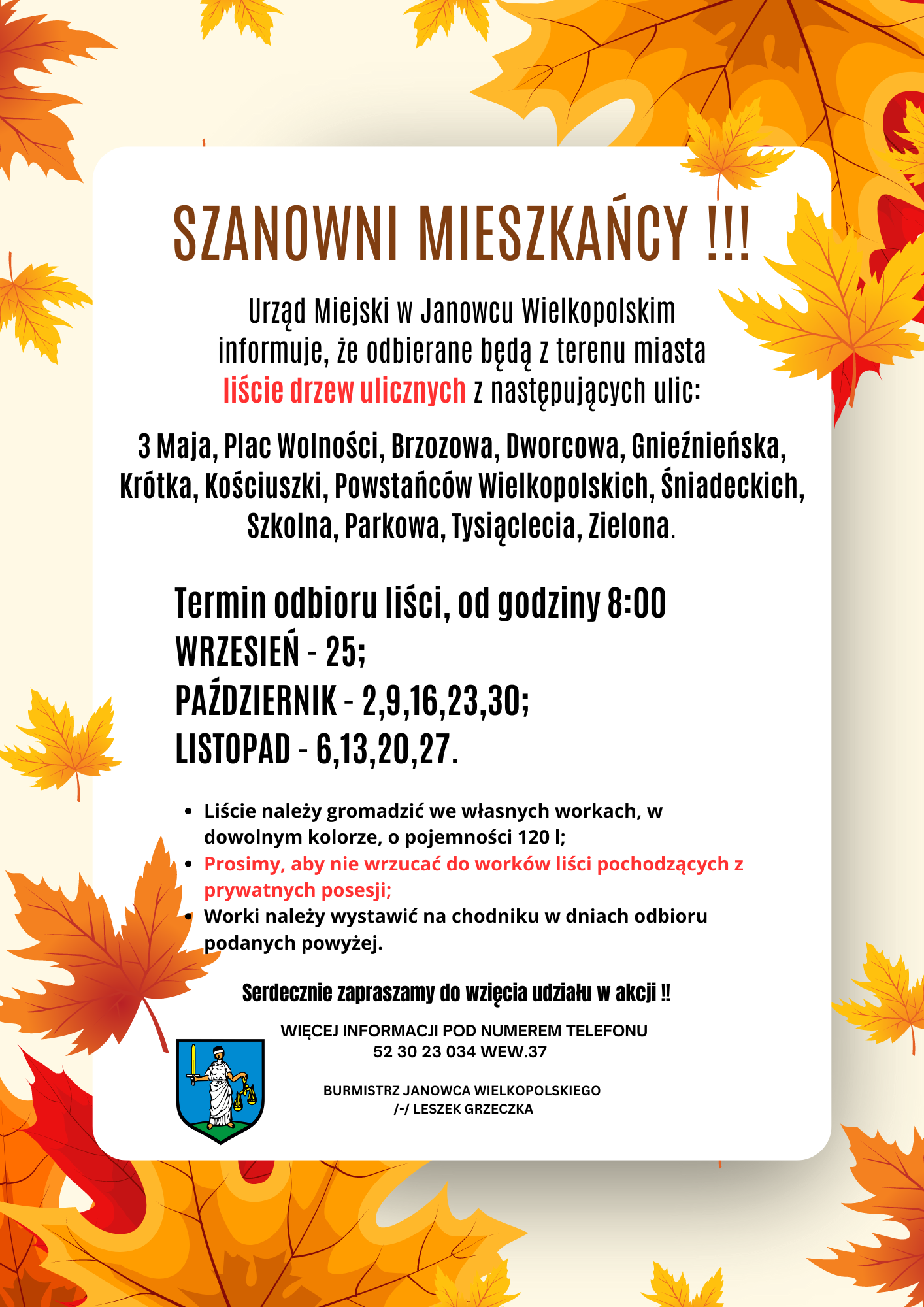 Liście drzew ulicznych - informacja