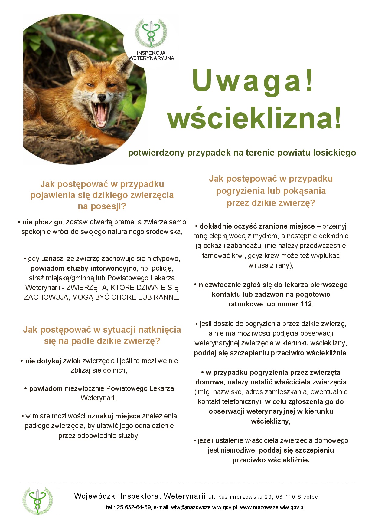 Plakat