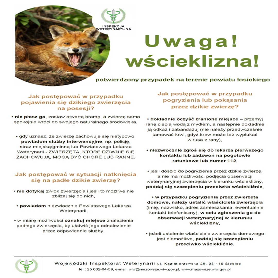Zdjecie