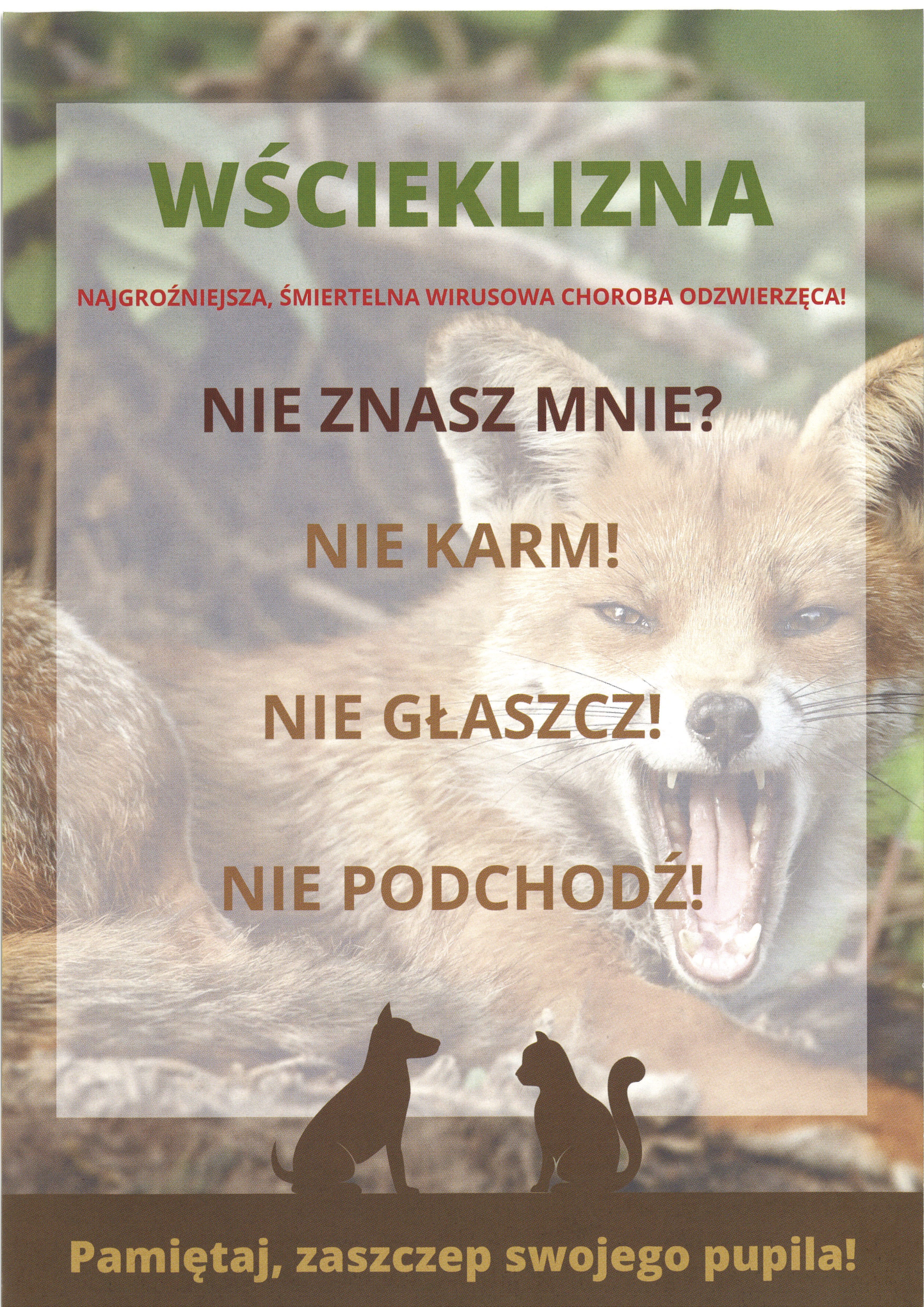 Wścieklizna - najgroźniejsza, śmiertelna wirusowa choroba odzwierzęca