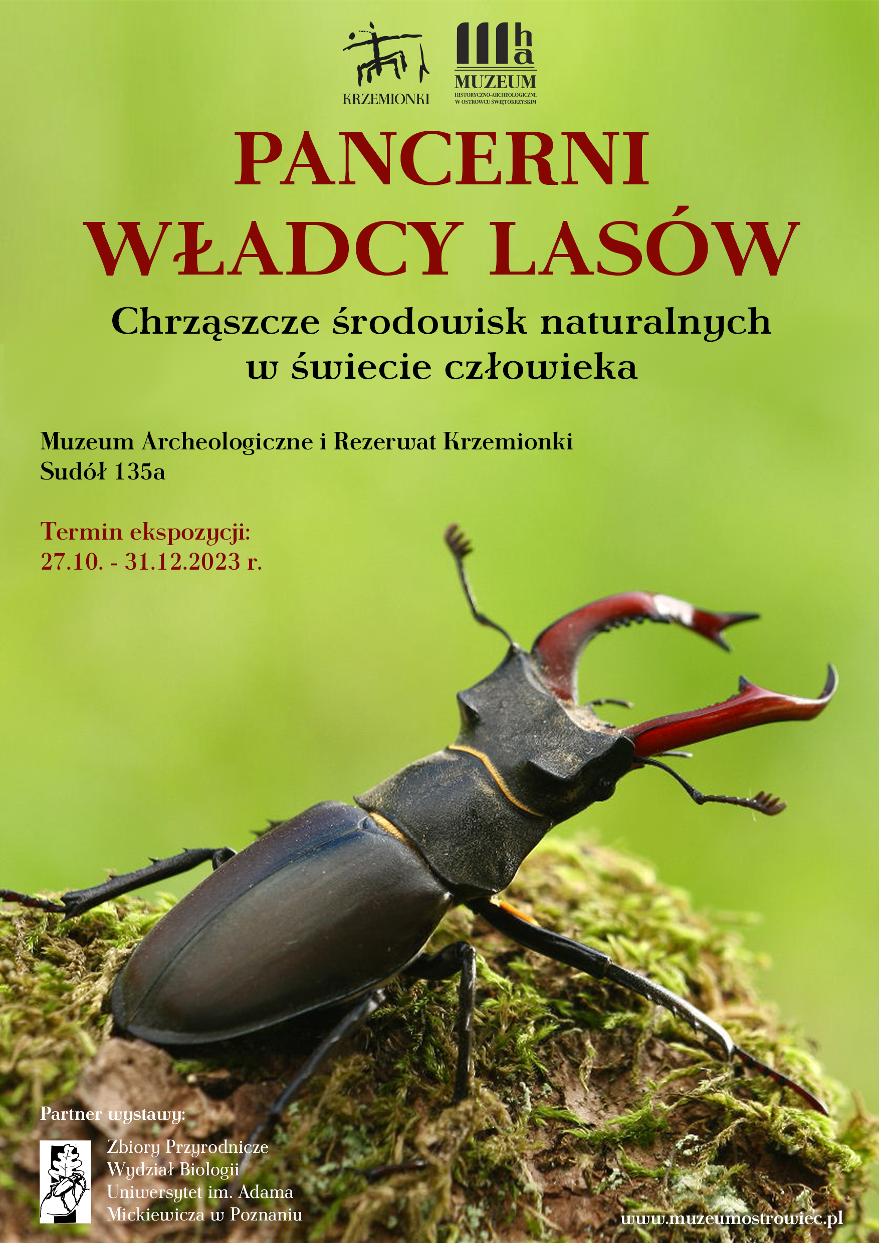 Pancerni władcy lasów. Chrząszcze środowisk naturalnych w świecie człowieka