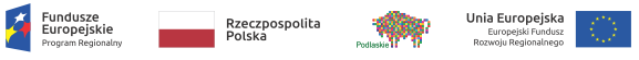 logotyp projektu: cztery napisy i loga