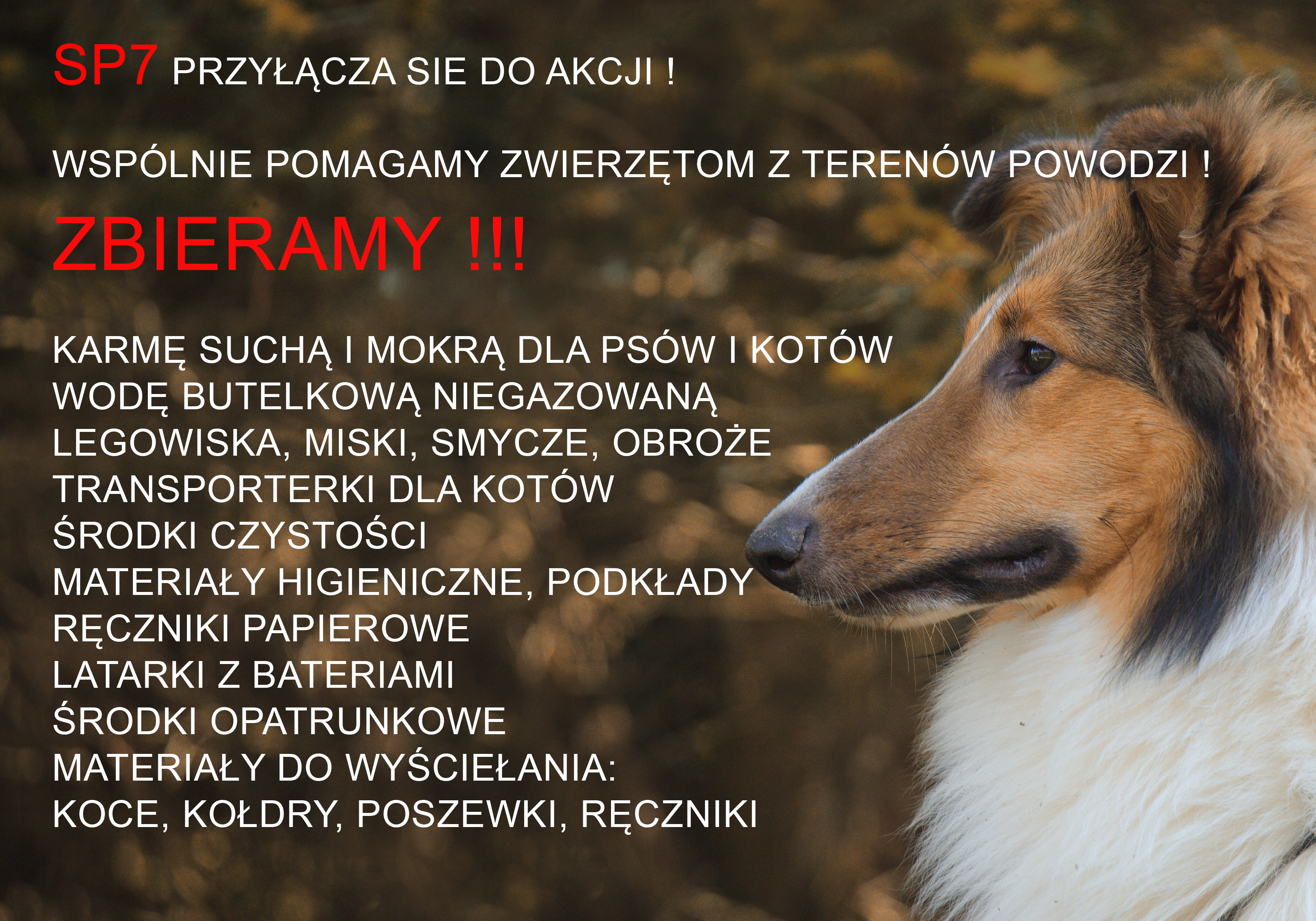 Pomagamy zwierzętom