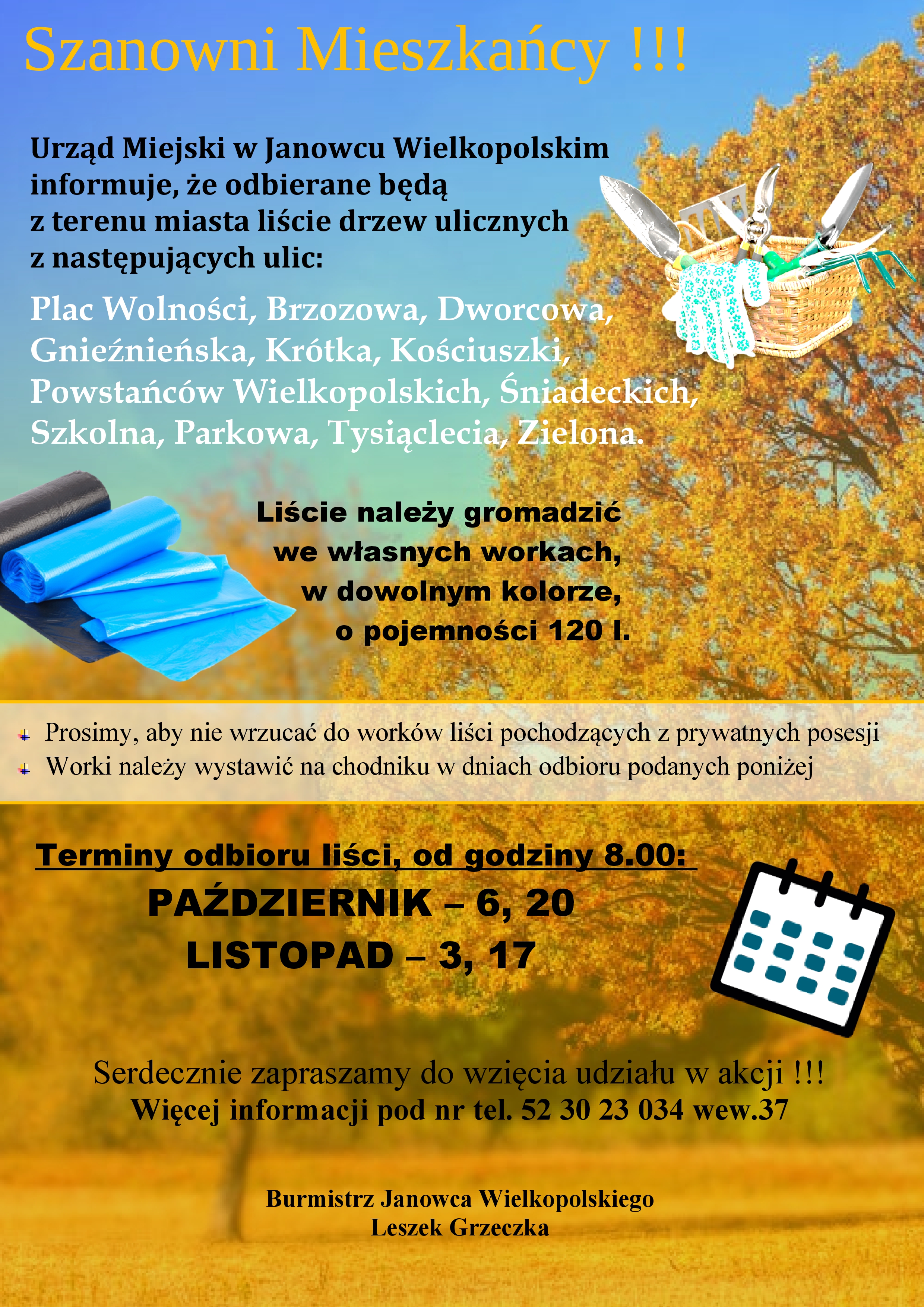 liście
