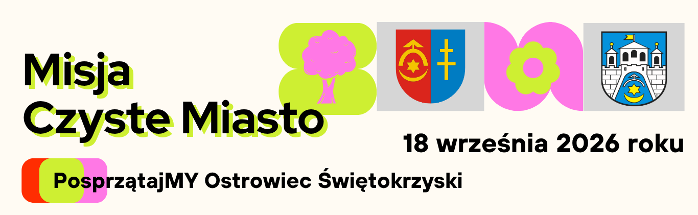 Misja Czyste Miasto