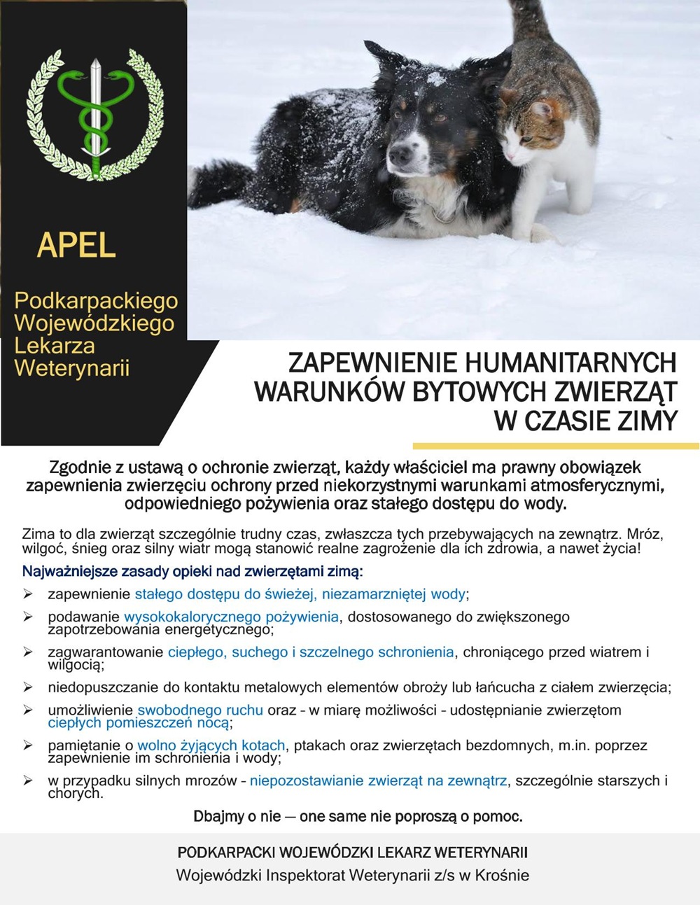 zdjecie