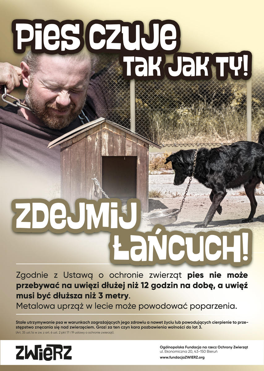 Wysokie temperatury są zagrożeniem nie tylko dla zdrowia ludzi, ale także dla zwierząt.