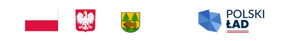 logotypy Programu Inwestycji Strategicznych Polski Ład: flaga i herb Polski, herb powiatu, grafika Polskiego Ładu