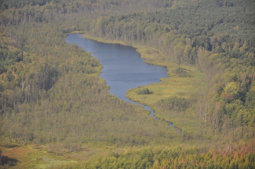 Rezerwat "Źródliska Flinty"
