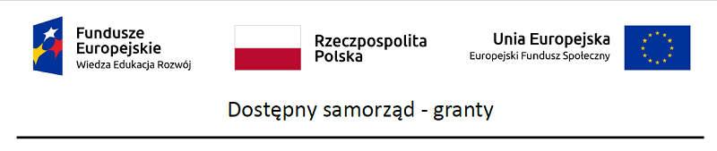 Dostępny Samorząd granty