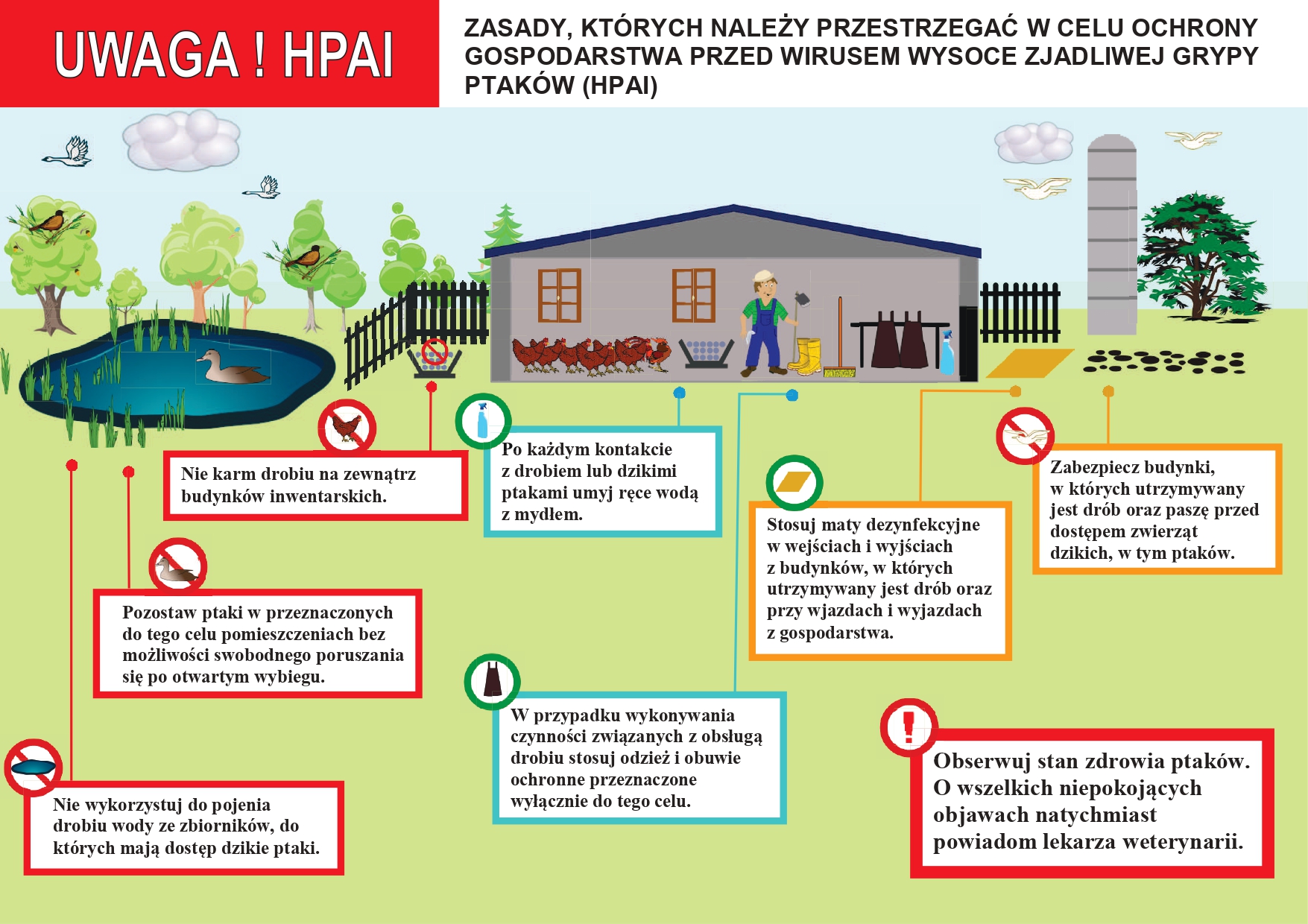 Zasady, których należy przestrzegać w celu ochrony gospodarstwa przed wirusem wysoce zjadliwej grypy 