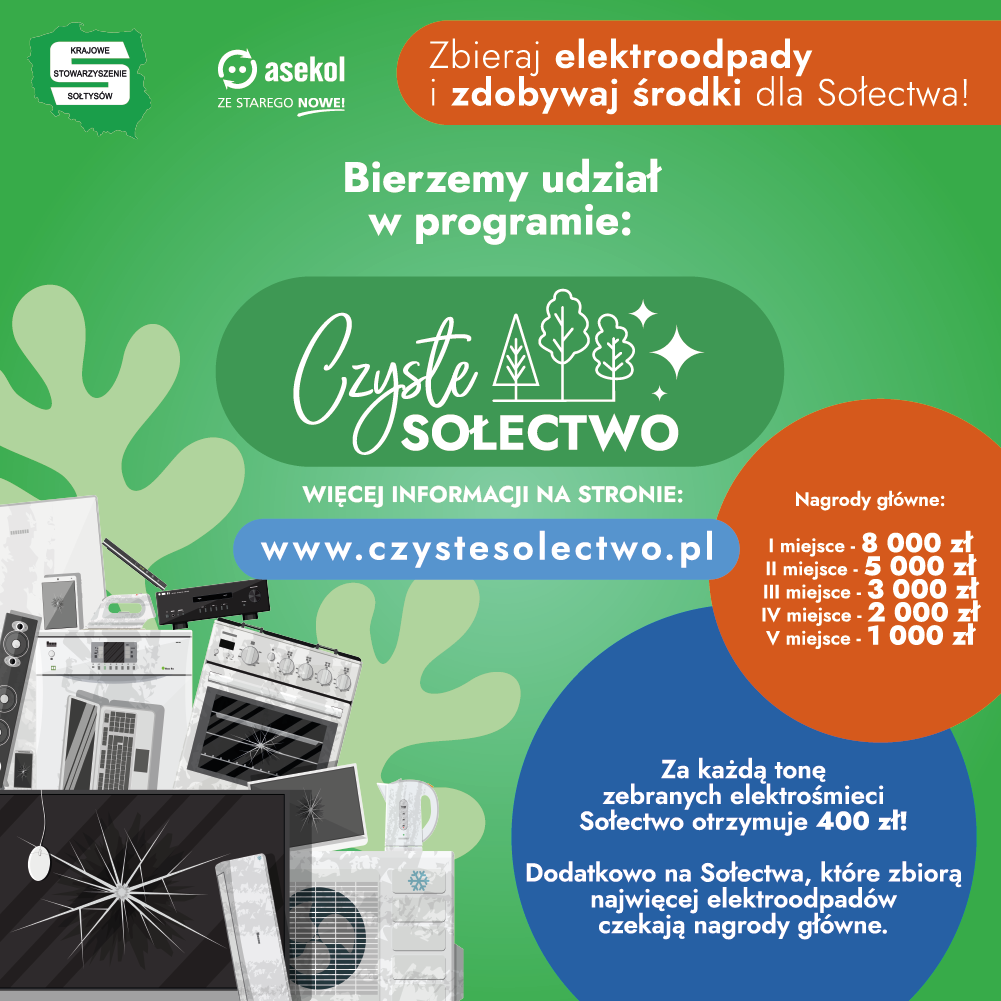 czyste sołectwo