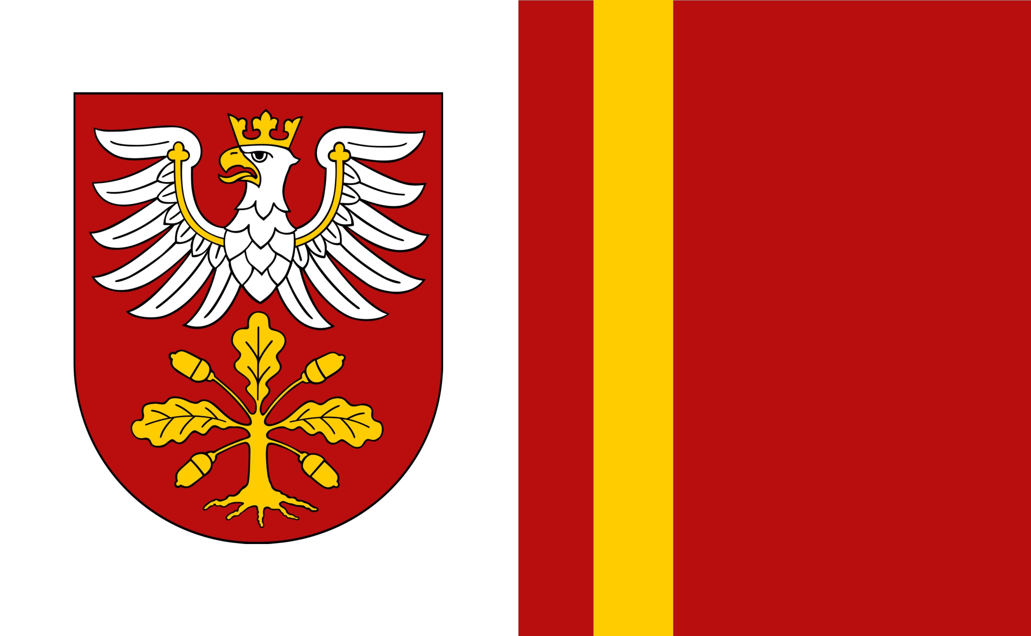 Flaga Powiatu Dąbrowskiego