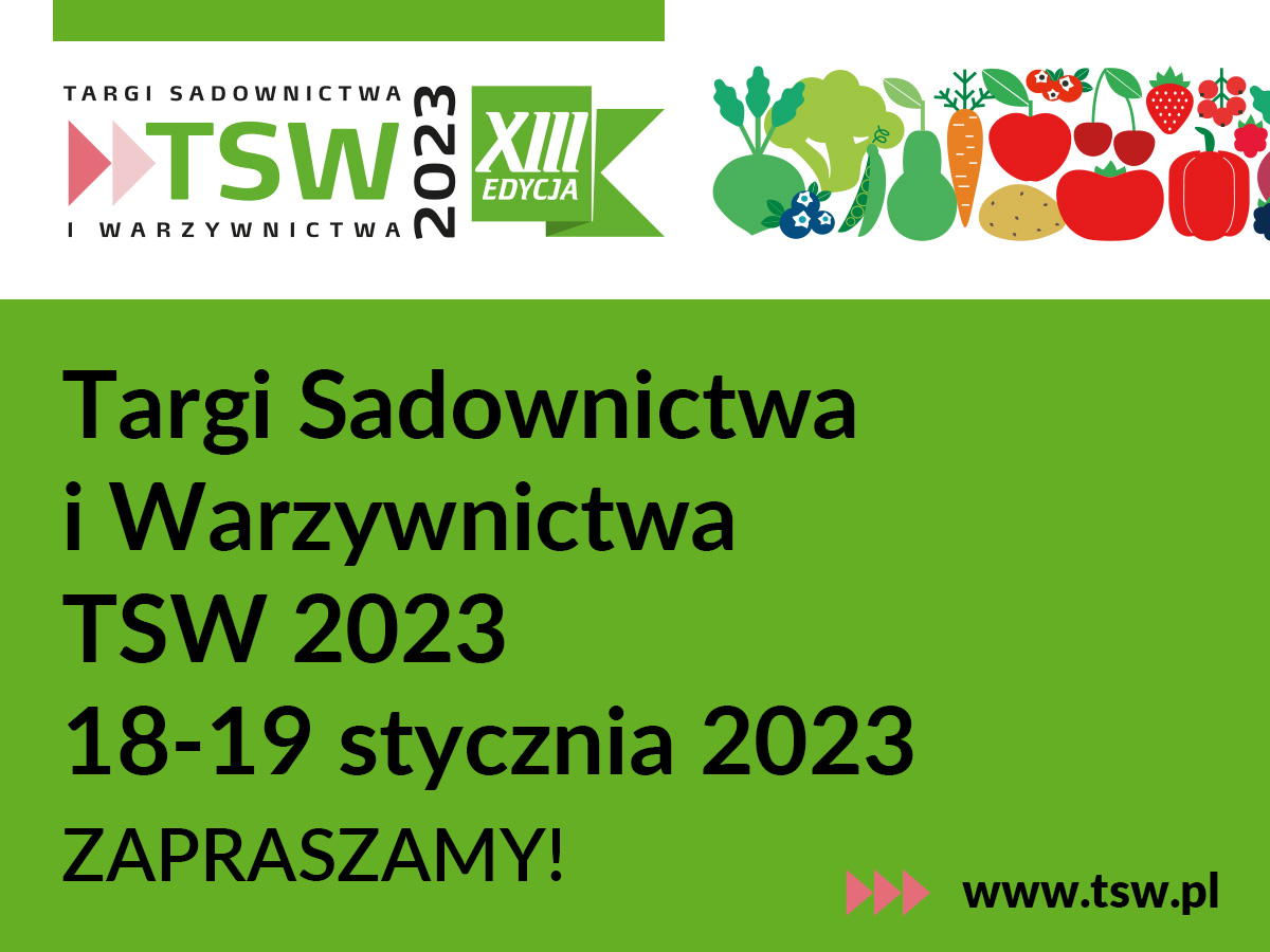tsw 2023