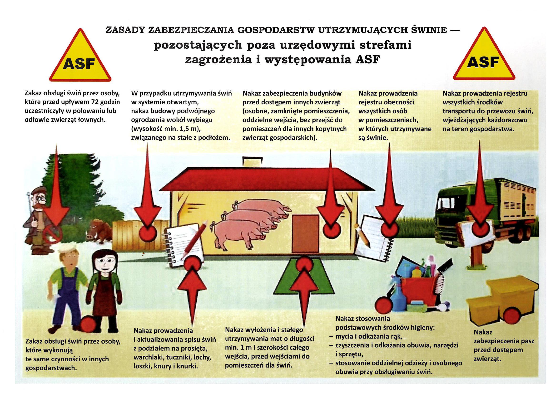 Zasady zabezpieczania gospodarstw utrzymujących świnie — pozostających poza urzędowymi strefami zagrożenia i występowania ASF. Zakaz obsługi świń przez osoby, które przed upływem 72 godzin uczestniczyły w polowaniu lub odłowie zwierząt łownych. W przypadku utrzymywania świń w systemie otwartym, nakaz budowy podwójnego ogrodzenia wokół wybiegu (wysokość min. 1,5 m), związanego na stałe z podłożem. Nakaz zabezpieczenia budynków przed dostępem innych zwierząt (osobne, zamknięte pomieszczenia, oddzielne wejścia, bez przejść do pomieszczeń dla innych kopytnych zwierząt gospodarskich). Nakaz prowadzenia rejestru obecności wszystkich osób w pomieszczeniach, w których utrzymywane są świnie. Nakaz prowadzenia rejestru wszystkich środków transportu do przewozu świń, wjeżdżających każdorazowo na teren gospodarstwa. Zakaz obsługi świń przez osoby, które wykonują te same czynności w innych gospodarstwach. Nakaz prowadzenia i aktualizowania spisu świń z podziałem na prosięta, warchlaki, tuczniki, lochy, loszki, knury i knurki. Nakaz wyłożenia i stałego utrzymywania mat o długości min. 1 m i szerokości całego wejścia, przed wejściami do pomieszczeń dla świń. Nakaz stosowania podstawowych środków higieny, mycia i odkażania rąk, czyszczenia i odkażania obuwia, narzędzi i sprzętu, stosowanie oddzielnej odzieży i osobnego obuwia przy obsługiwaniu świń. Nakaz zabezpieczenia pasz przed dostępem zwierząt.