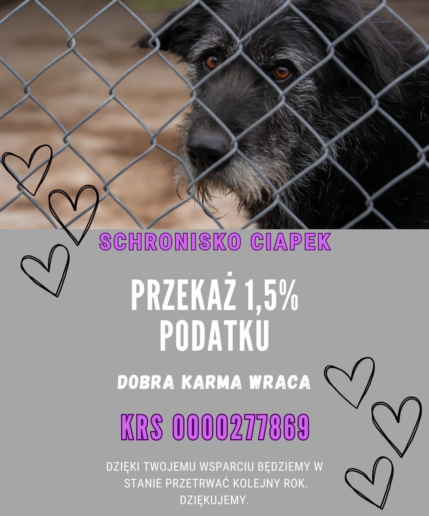 Pod zdjęciem psa umieszczono informacje o KRS - zawarte w artykule