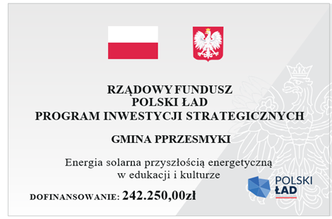 Polski ład plakat