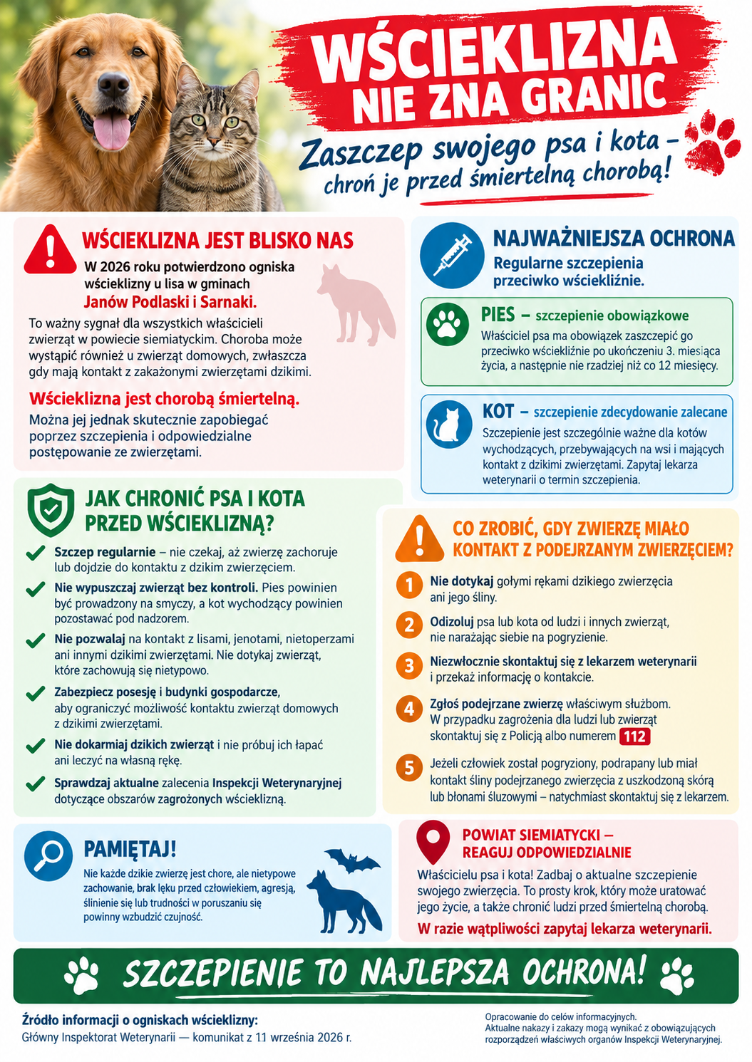 Polska infografika poświęcona zapobieganiu wściekliźnie, przedstawiająca golden retrievera i pręgowanego kota, wskazówki dotyczące szczepień, porady dotyczące ochrony zwierząt domowych, działania w nagłych wypadkach oraz hasło „Szczepienie to najlepsza ochrona!”. Tekst infografiki: WŚCIEKLIZNA NIE ZNA GRANIC Zaszczep swojego psa i kota – chroń je przed śmiertelną chorobą! WŚCIEKLIZNA JEST BLISKO NAS W 2026 roku potwierdzono ogniska wścieklizny u lisa w gminach Janów Podlaski i Sarnaki. To ważny sygnał dla wszystkich właścicieli zwierząt w powiecie siemiatyckim. Choroba może wystąpić również u zwierząt domowych, zwłaszcza gdy mają kontakt z zakażonymi zwierzętami dzikimi. Wścieklizna jest chorobą śmiertelną. Można jej jednak skutecznie zapobiegać poprzez szczepienia i odpowiedzialne postępowanie ze zwierzętami. NAJWAŻNIEJSZA OCHRONA Regularne szczepienia przeciwko wściekliźnie. PIES – szczepienie obowiązkowe Właściciel psa ma obowiązek zaszczepić go przeciwko wściekliźnie po ukończeniu 3. miesiąca życia, a następnie nie rzadziej niż co 12 miesięcy. KOT – szczepienie zdecydowanie zalecane Szczepienie jest szczególnie ważne dla kotów wychodzących, przebywających na wsi i mających kontakt z dzikimi zwierzętami. Zapytaj lekarza weterynarii o termin szczepienia. JAK CHRONIĆ PSA I KOTA PRZED WŚCIEKLIZNĄ? Szczep regularnie – nie czekaj, aż zwierzę zachoruje lub dojdzie do kontaktu z dzikim zwierzęciem. Nie wypuszczaj zwierząt bez kontroli. Pies powinien być prowadzony na smyczy, a kot wychodzący powinien pozostawać pod nadzorem. Nie pozwalaj na kontakt z lisami, jenotami, nietoperzami ani innymi dzikimi zwierzętami. Nie dotykaj zwierząt, które zachowują się nietypowo. Zabezpiecz posesję i budynki gospodarcze, aby ograniczyć możliwość kontaktu zwierząt domowych z dzikimi zwierzętami. Nie dokarmiaj dzikich zwierząt i nie próbuj ich łapać ani leczyć na własną rękę. Sprawdzaj aktualne zalecenia Inspekcji Weterynaryjnej dotyczące obszarów zagrożonych wścieklizną. CO ZROBIĆ, GDY ZWIERZĘ MIAŁO KONTAKT Z PODEJRZANYM ZWIERZĘCIEM? Nie dotykaj gołymi rękami dzikiego zwierzęcia ani jego śliny. Odizoluj psa lub kota od ludzi i innych zwierząt, nie narażając siebie na pogryzienie. Niezwłocznie skontaktuj się z lekarzem weterynarii i przekaż informacje o kontakcie. Zgłoś podejrzane zwierzę właściwym służbom. W przypadku zagrożenia dla ludzi lub zwierząt skontaktuj się z Policją albo numerem 112. Jeżeli człowiek został pogryziony, podrapany lub miał kontakt śliny podejrzanego zwierzęcia z uszkodzoną skórą lub błonami śluzowymi – natychmiast skontaktuj się z lekarzem. PAMIĘTAJ! Nie każde dzikie zwierzę jest chore, ale nietypowe zachowanie, brak lęku przed człowiekiem, agresja, ślinienie się lub trudności w poruszaniu się powinny wzbudzić czujność. POWIAT SIEMIATYCKI – REAGUJ ODPOWIEDZIALNIE Właścicielu psa i kota! Zadbaj o aktualne szczepienie swojego zwierzęcia. To prosty krok, który może uratować jego życie, a także chronić ludzi przed śmiertelną chorobą. W razie wątpliwości zapytaj lekarza weterynarii. SZCZEPIENIE TO NAJLEPSZA OCHRONA! Źródło informacji o ogniskach wścieklizny: Główny Inspektorat Weterynarii — komunikat z 11 września 2026 r. Opracowanie do celów informacyjnych. Aktualne nakazy i zakazy mogą wynikać z obowiązujących rozporządzeń właściwych organów Inspekcji Weterynaryjnej.