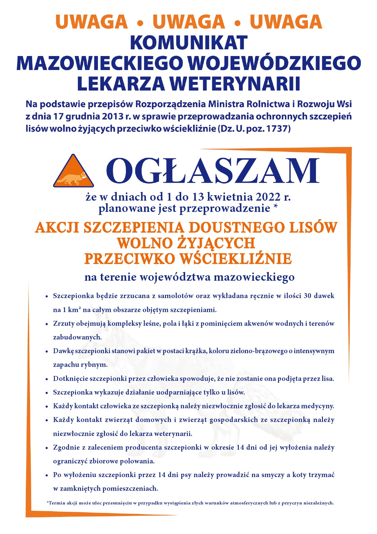 szczepienie Lisów 