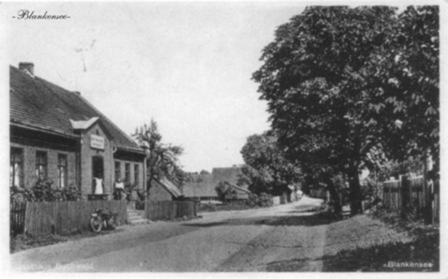Niesulice (główna droga) przed rokiem 1945 r. Karta pocztowa pochodzi ze zbiorów Mirosława Olczaka