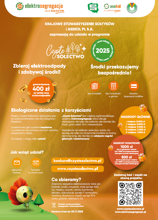 czyste sołectwo