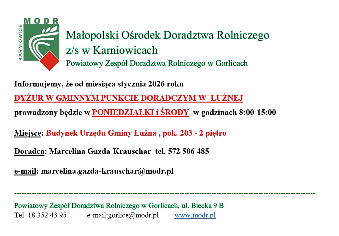 Informacja o dyżurach