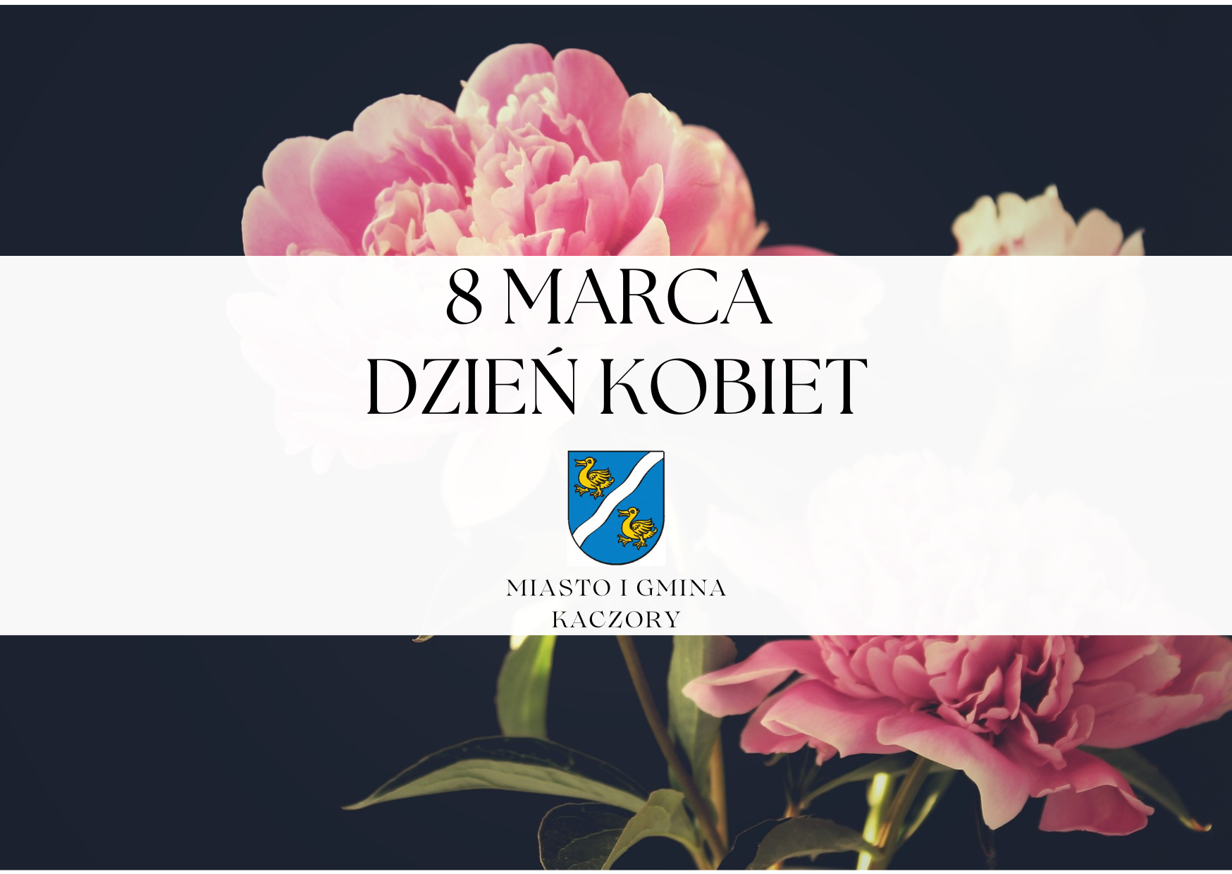 Baner - 8 marca Dzień Kobiet