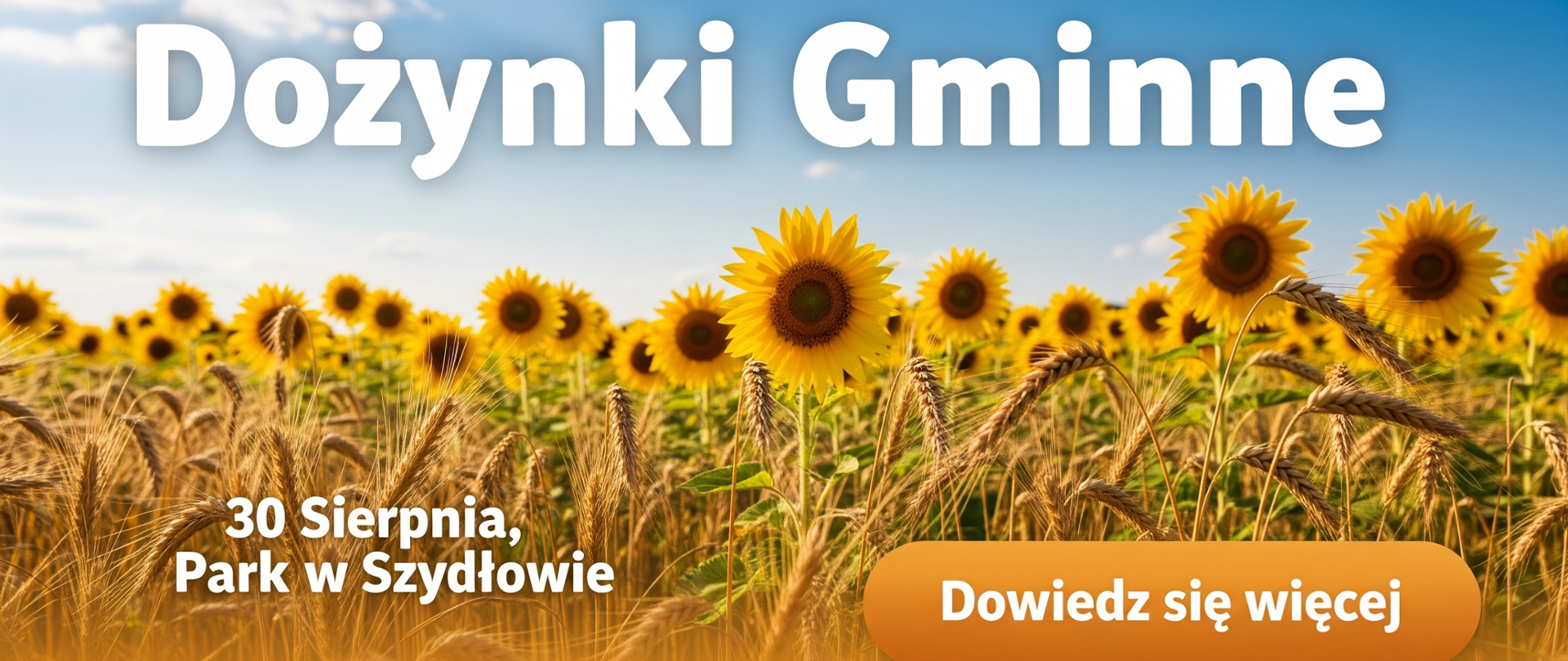 baner dożynki