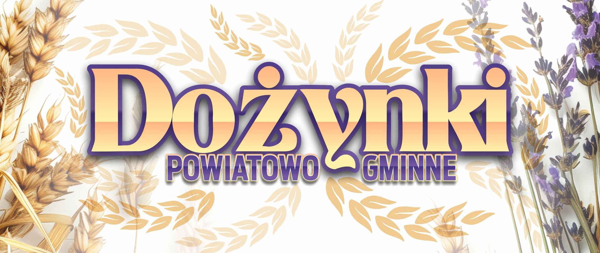 Grafika przedstawia umieszczone centralnie na białym tle logo Dożynek Powiatowo-Gminnych. Logo składa się ze złoto fioletowej nazwy wydarzenia otoczonej wizerunkami kłosów zbóż. Po lewej stronie loga znajdują prawdziwe kłosy, a po prawej kwiaty lawendy
