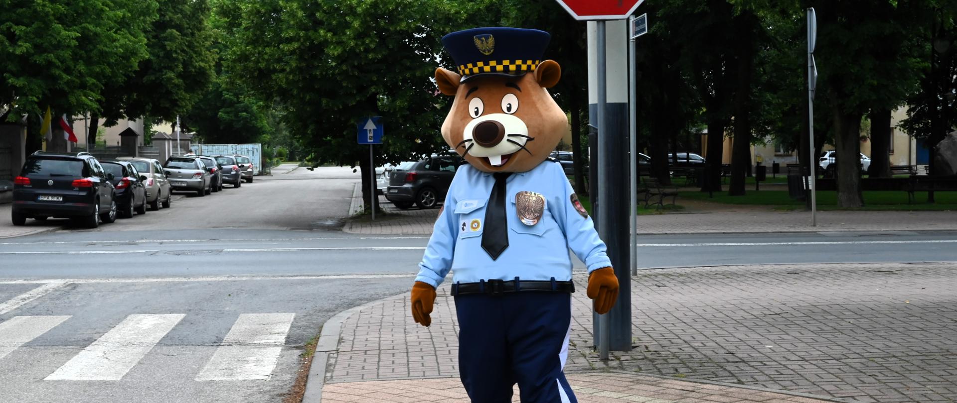 maskotka Strażnika Miejskiego w postaci Bobra przy przejściu dla pieszych patrzy w obiektyw