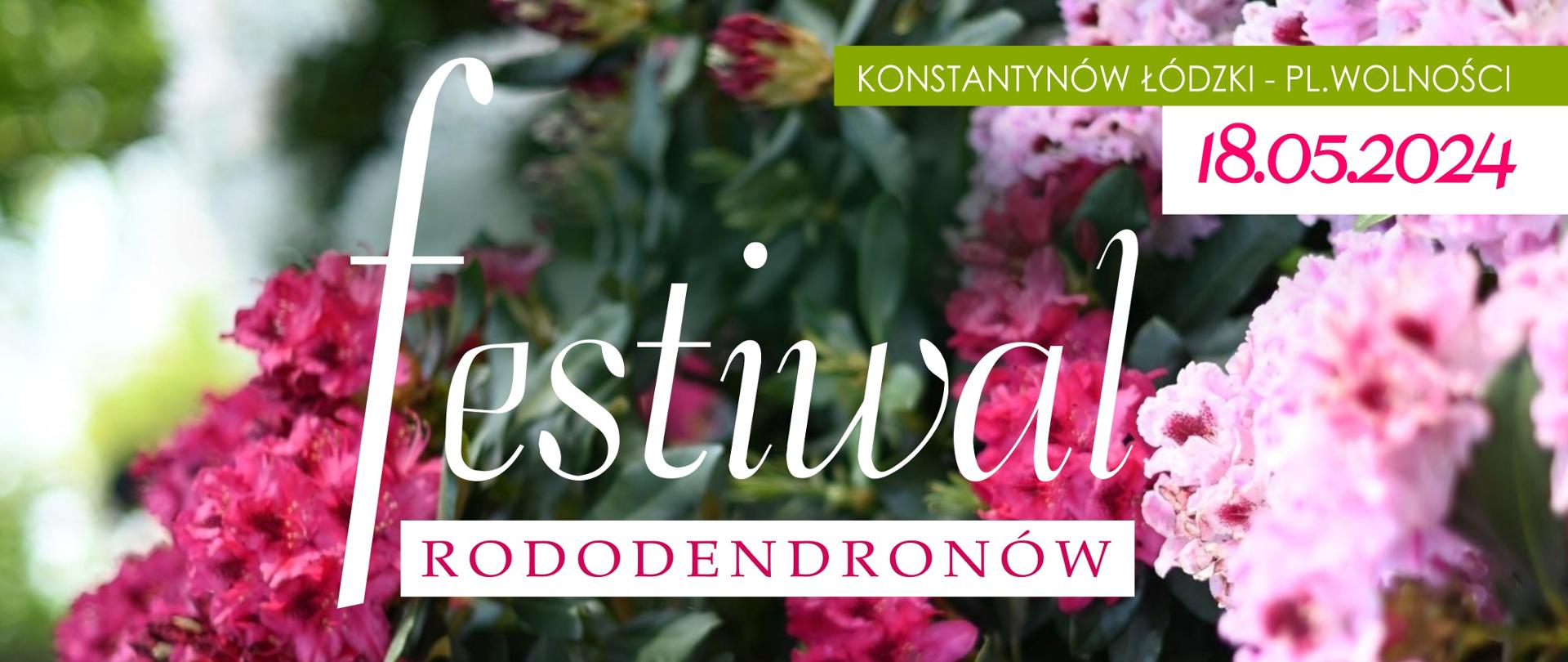 festiwal rododendronów 18.05.2024