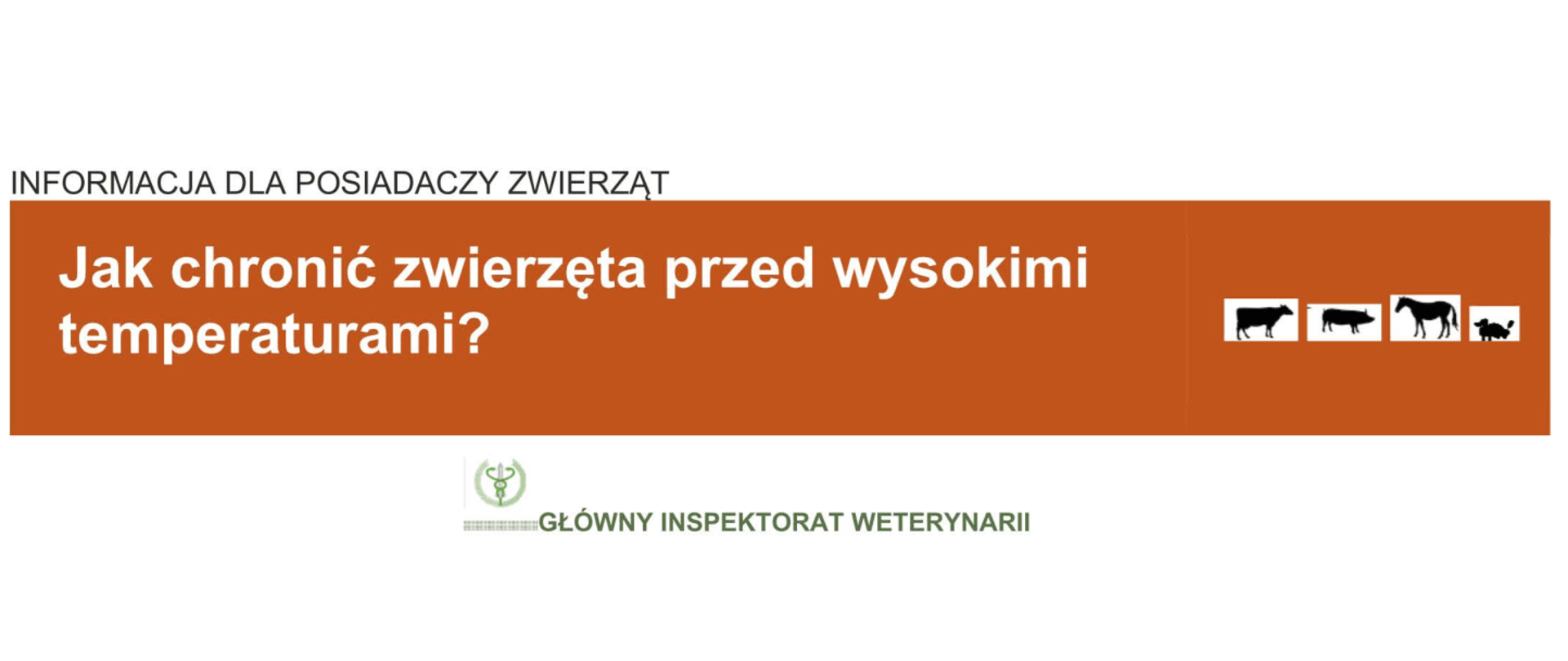 Informacja dla posiadaczy zwierząt. Jak chronić zwierzęta przed wysokimi temperaturami