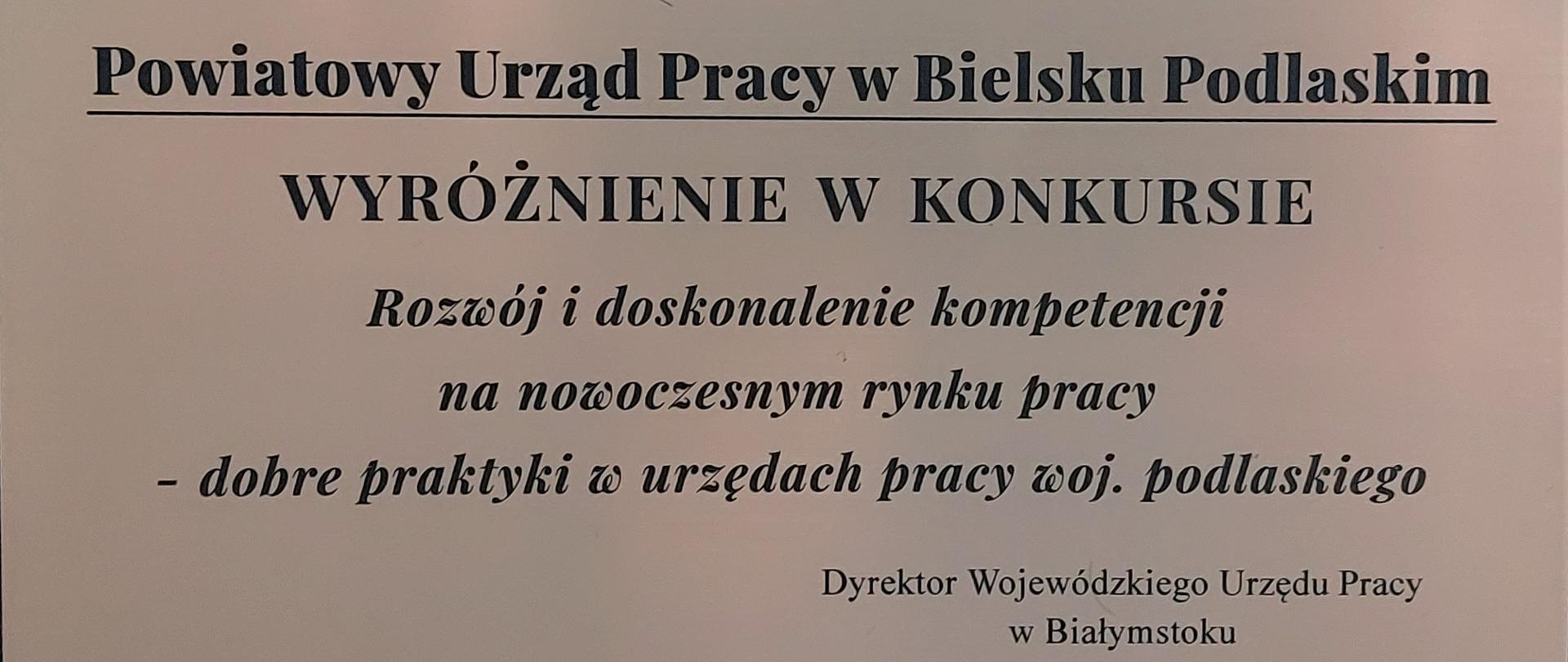 Projekt Powiatowego Urzędu Pracy z wyróżnieniem