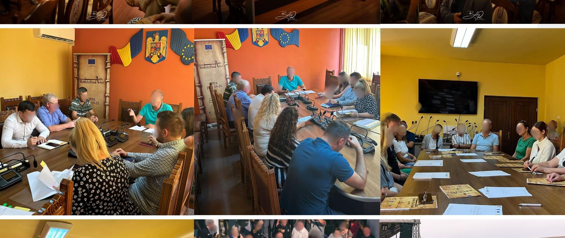 Project Summary Photo Colaj for Publication.