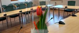 Tulipan w folii z napisem 8 marca w tle sala obrad 