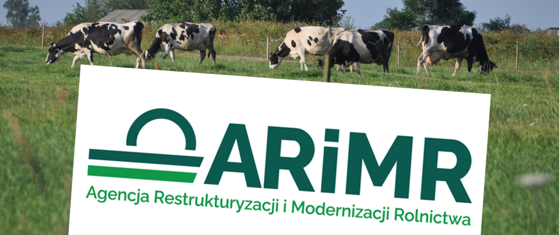ARiMR 12