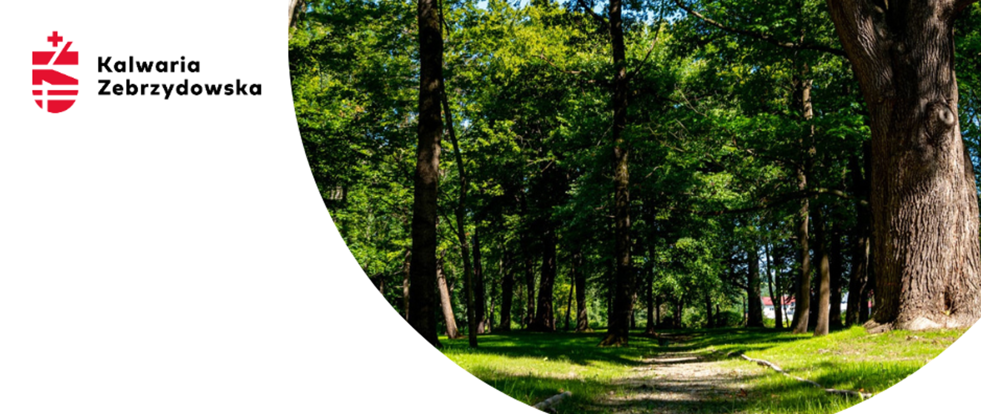 Dofinansowanie Parku w Brodach