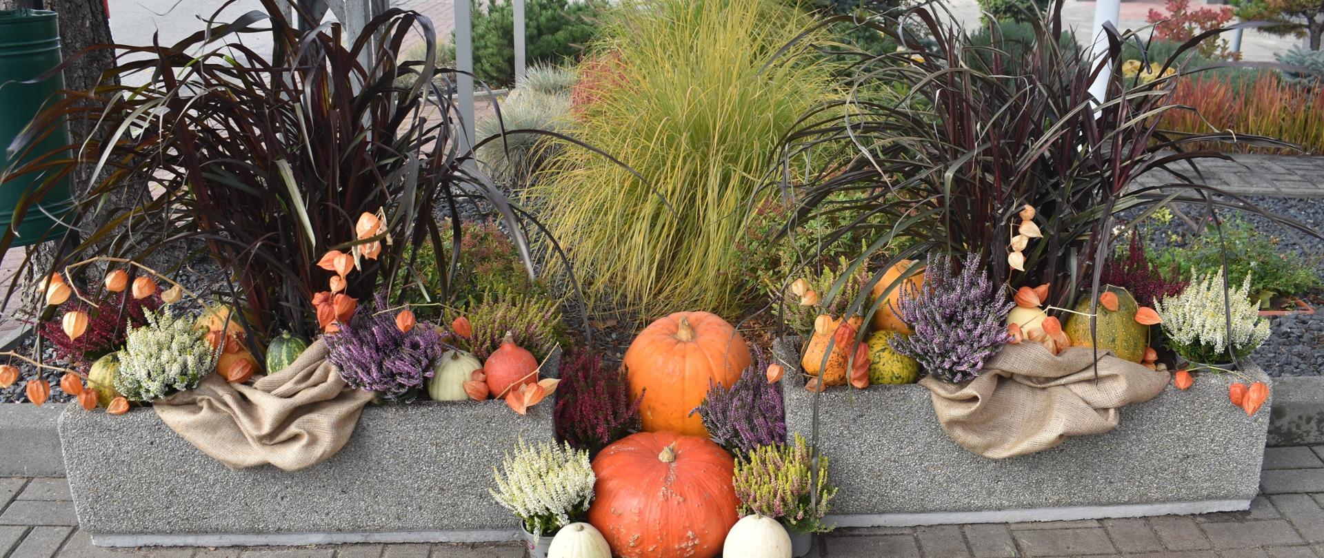 Przestrzeń wokół Urzędu Miasta i Gminy Lutomiersk