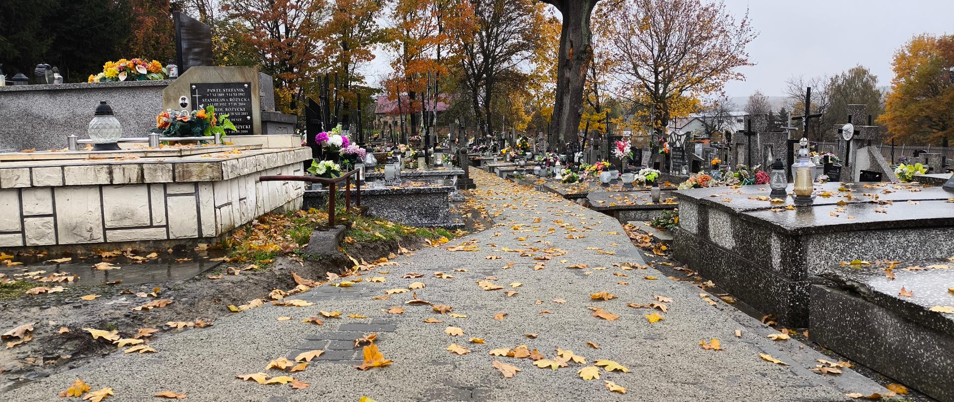 Cmentarz komunalny w Szebniach