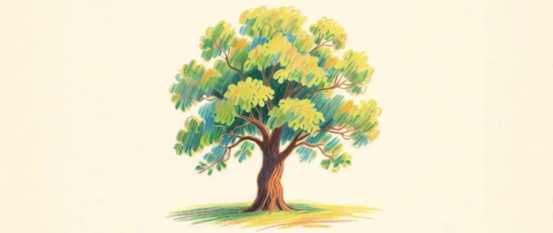 Nowe pomniki przyrody w Gminie Lutomiersk!