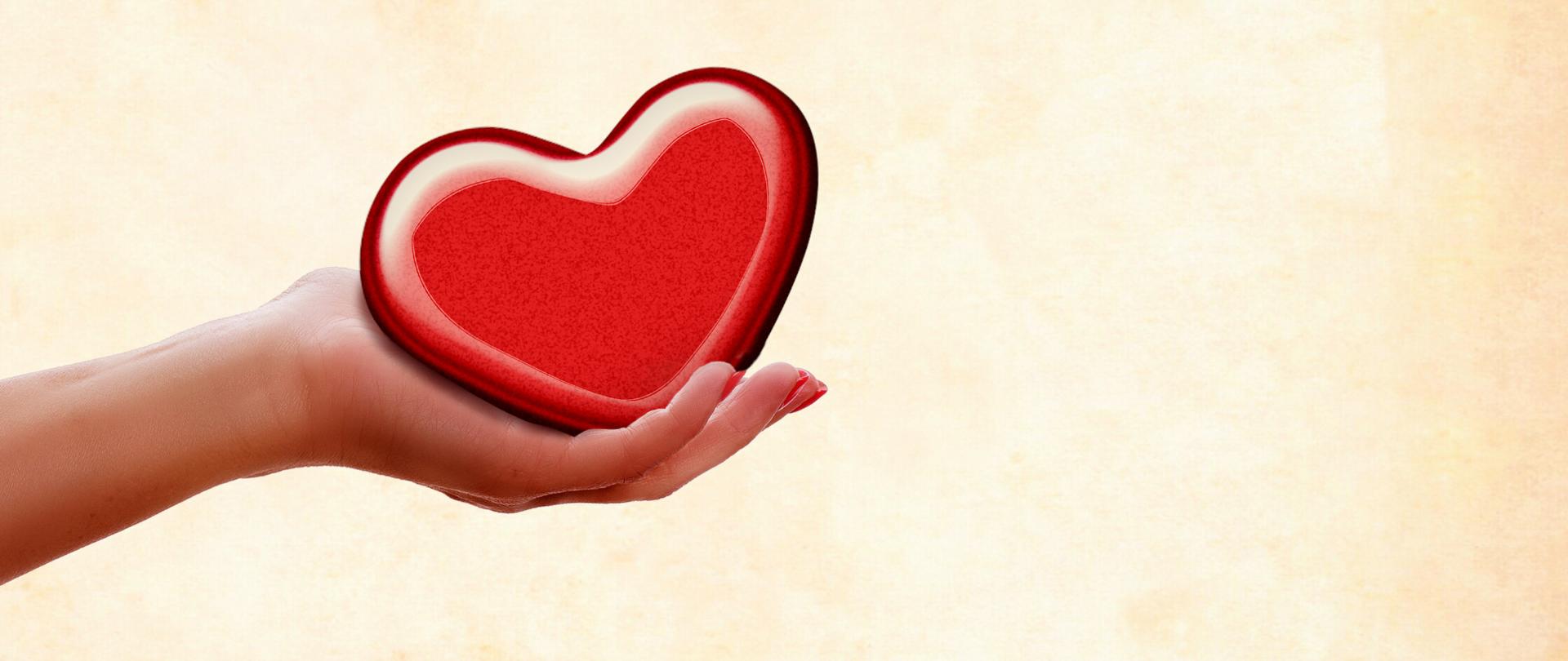 Serce na dłoni