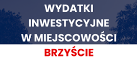 Brzyście