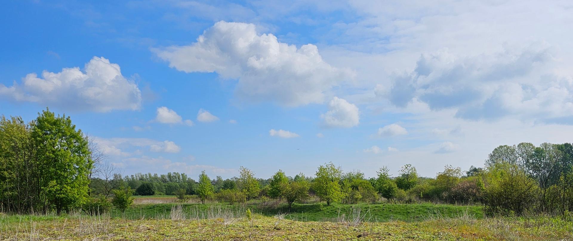 Na pierwszym planie fotografii sucha, spalona trawa. W oddali zielone drzewa, rosnące na zielonej trawie. Na górnej części fotografii jasnoniebieskie niebo z białymi chmurami. 